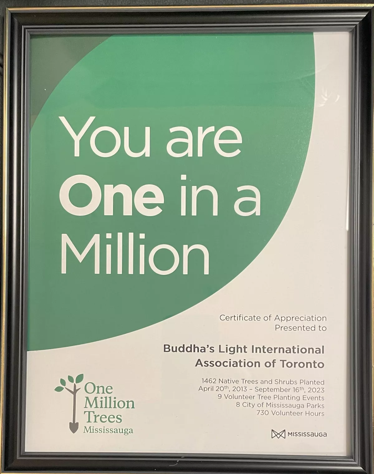 City of Mississauga Honored BLIA Toronto Chapter with Environmental Appreciation Award